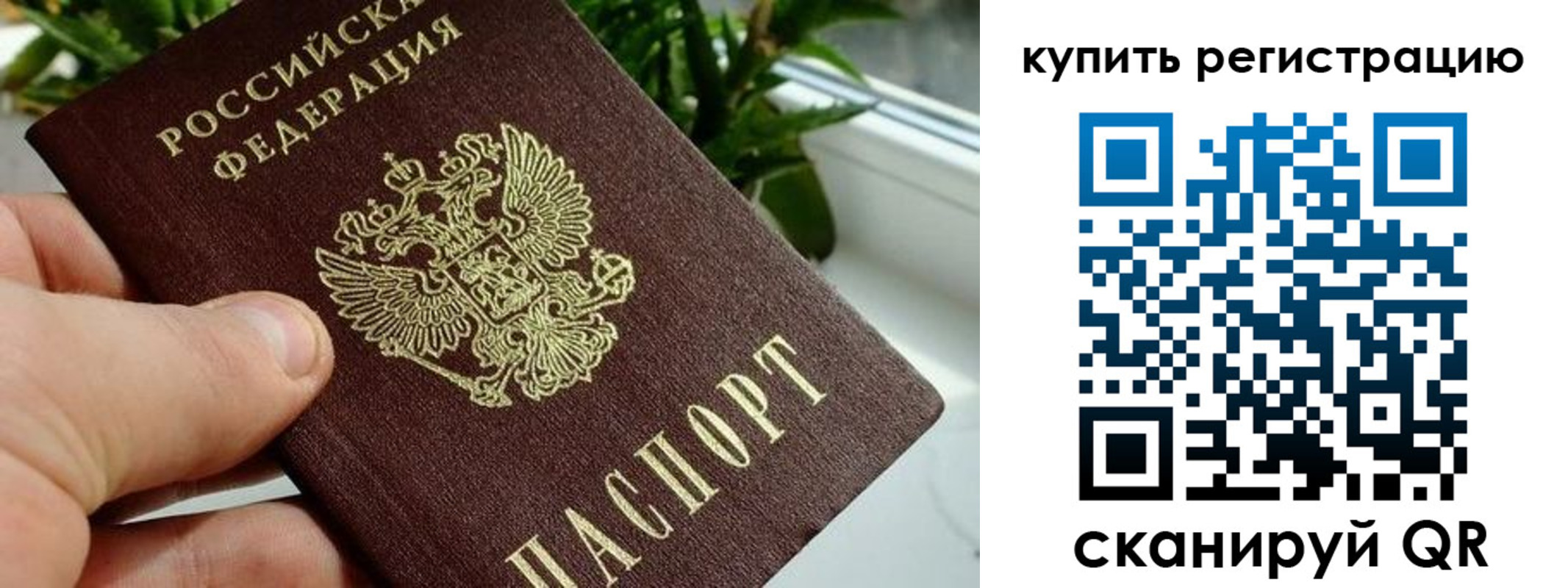 прописка гарантия в Ужуре